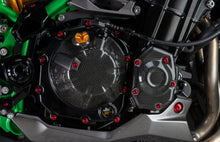Load image into Gallery viewer, Kawasaki Z900 2017-2025 Lightech Carbon Fiber Clutch Cover Protector New