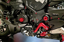 Load image into Gallery viewer, Ducati Diavel V4 2023-2024 CNC Racing Generator Crankcase Protector New