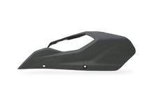 Load image into Gallery viewer, Ducati Multistrada V4 /S 2021-2023 CNC Racing Carbon Fiber Front Chain Guard