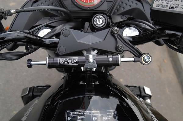 Kawasaki Z750 2004-2006 Toby Belgium Steering Damper Stabilizer & Mount Kit New