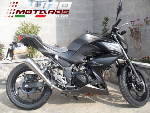 Kawasaki Z300 Endy Exhaust Pro GP Slipon Silencer Road Legal