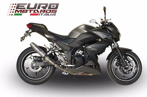Kawasaki Z300 2014-2015 GPR Exhaust Deeptone Slipon Silencer Racing