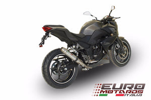 Kawasaki Z300 2014-2015 GPR Exhaust Deeptone Slipon Silencer Racing