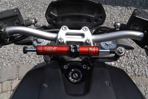 Ducati Monster 696 2011-2014 Toby Belgium Steering Damper Stabilizer & Mount Kit