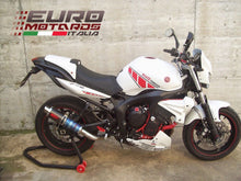 Load image into Gallery viewer, MassMoto M1 carbon exhaust silencer kit for Yamaha FZ6 Fazer 2004-2009 — Euro Motards