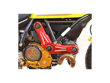 Load image into Gallery viewer, Ducabike Timing Belt Cover 16 Color Options Ducati Scrambler 400 800 2015-2021