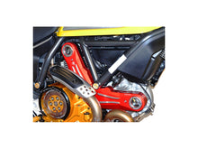 Load image into Gallery viewer, Ducabike Timing Belt Cover 16 Color Options Ducati Scrambler 400 800 2015-2021