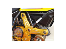 Load image into Gallery viewer, Ducabike Timing Belt Cover 16 Color Options Ducati Scrambler 400 800 2015-2021