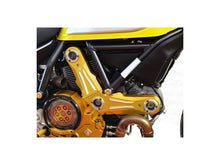 Load image into Gallery viewer, Ducabike Timing Belt Cover 16 Color Options Ducati Scrambler 400 800 2015-2021