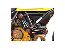 Load image into Gallery viewer, Ducabike Timing Belt Cover 16 Color Options Ducati Scrambler 400 800 2015-2021