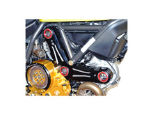 Load image into Gallery viewer, Ducabike Timing Belt Cover 16 Color Options Ducati Scrambler 400 800 2015-2021