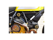 Load image into Gallery viewer, Ducabike Timing Belt Cover 16 Color Options Ducati Scrambler 400 800 2015-2021