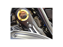 Load image into Gallery viewer, Ducabike Timing Belt Cover 16 Color Options Ducati Scrambler 400 800 2015-2021