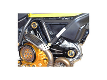 Load image into Gallery viewer, Ducabike Timing Belt Cover 16 Color Options Ducati Scrambler 400 800 2015-2021