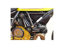 Load image into Gallery viewer, Ducabike Timing Belt Cover 16 Color Options Ducati Scrambler 400 800 2015-2021