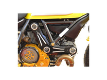 Load image into Gallery viewer, Ducabike Timing Belt Cover 16 Color Options Ducati Scrambler 400 800 2015-2021