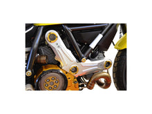 Load image into Gallery viewer, Ducabike Timing Belt Cover 16 Color Options Ducati Scrambler 400 800 2015-2021