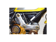 Load image into Gallery viewer, Ducabike Timing Belt Cover 16 Color Options Ducati Scrambler 400 800 2015-2021