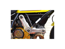 Load image into Gallery viewer, Ducabike Timing Belt Cover 16 Color Options Ducati Scrambler 400 800 2015-2021