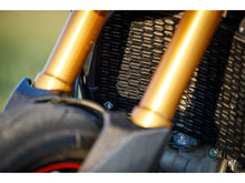 Load image into Gallery viewer, Ducabike Radiator Guard Screen 4 Colors For Ducati Diavel 1260 /S 2019-2021