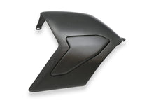 Load image into Gallery viewer, Ducati Panigale V4 /S CNC Racing Carbon Fiber Swingarm Cover Protector Matt New
